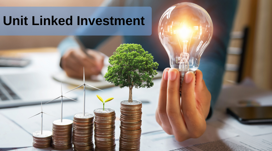 Unit Linked Investment Scheme